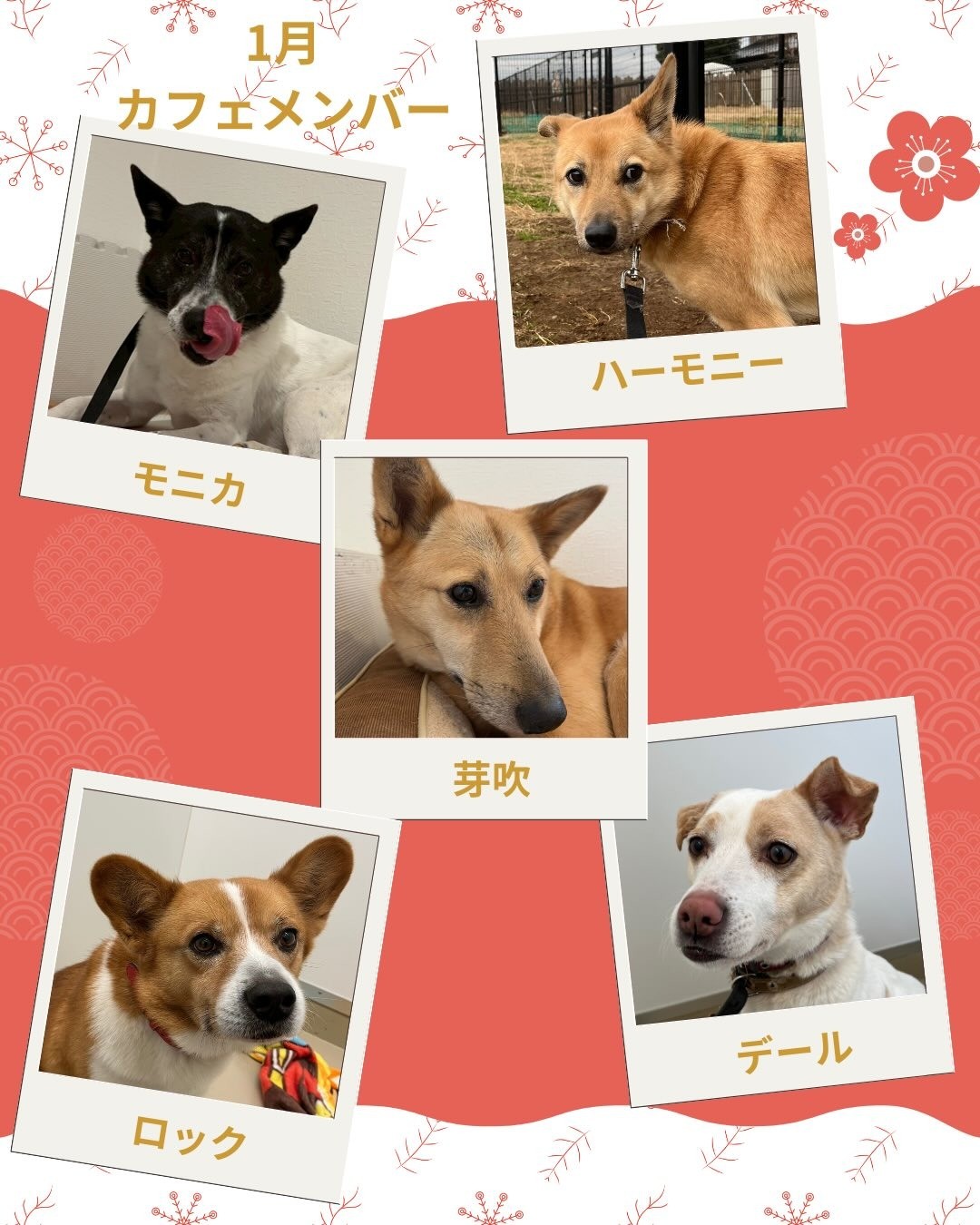 55fc702b1087a1bc73ce14aeb586e391-1767500489.jpg 55fc702b1087a1bc73ce14aeb586e391-1767500489.jpg