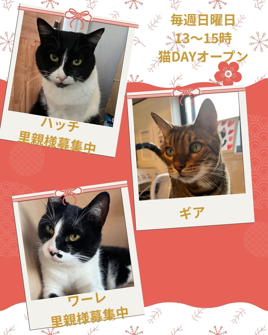 be2735bef8a086b85ea6e7a54b8fbd1a-1767500510.jpg be2735bef8a086b85ea6e7a54b8fbd1a-1767500510.jpg