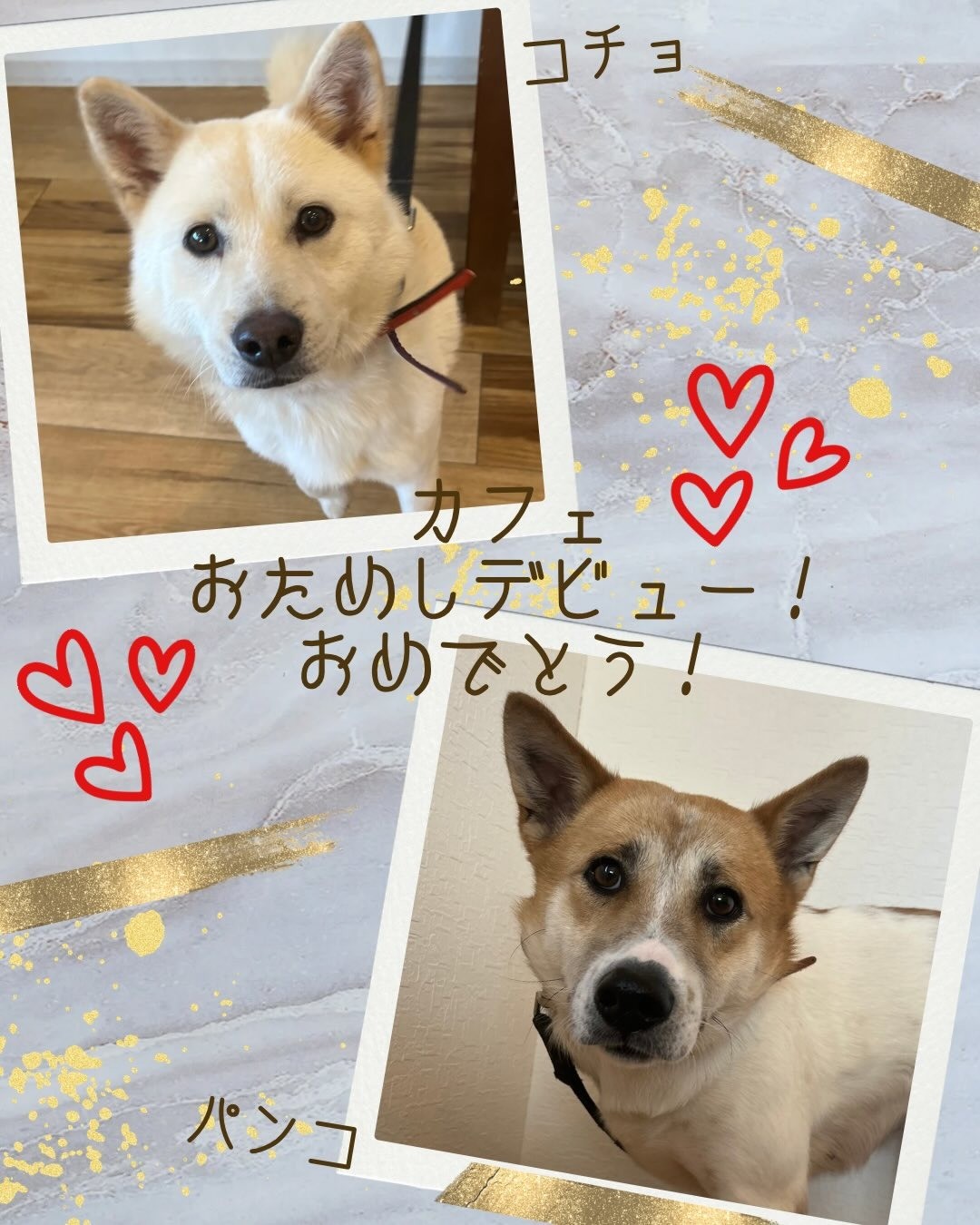 4072b127fd76869e9af69acb9e199a44-1769509449.jpg 4072b127fd76869e9af69acb9e199a44-1769509449.jpg