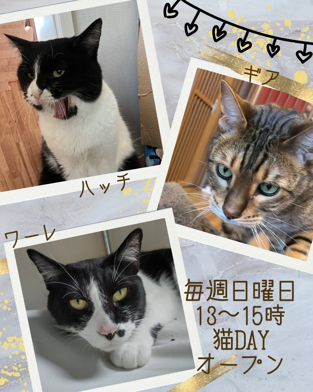 88883a5e2ed4731aedfbb1feda60a055-1769509455.jpg 88883a5e2ed4731aedfbb1feda60a055-1769509455.jpg