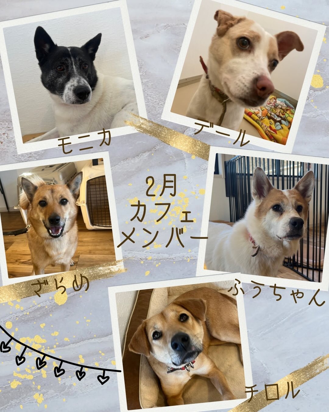 1b0dbe25e8e3229924d81ab9bd2f098b-1769509440.jpg 1b0dbe25e8e3229924d81ab9bd2f098b-1769509440.jpg