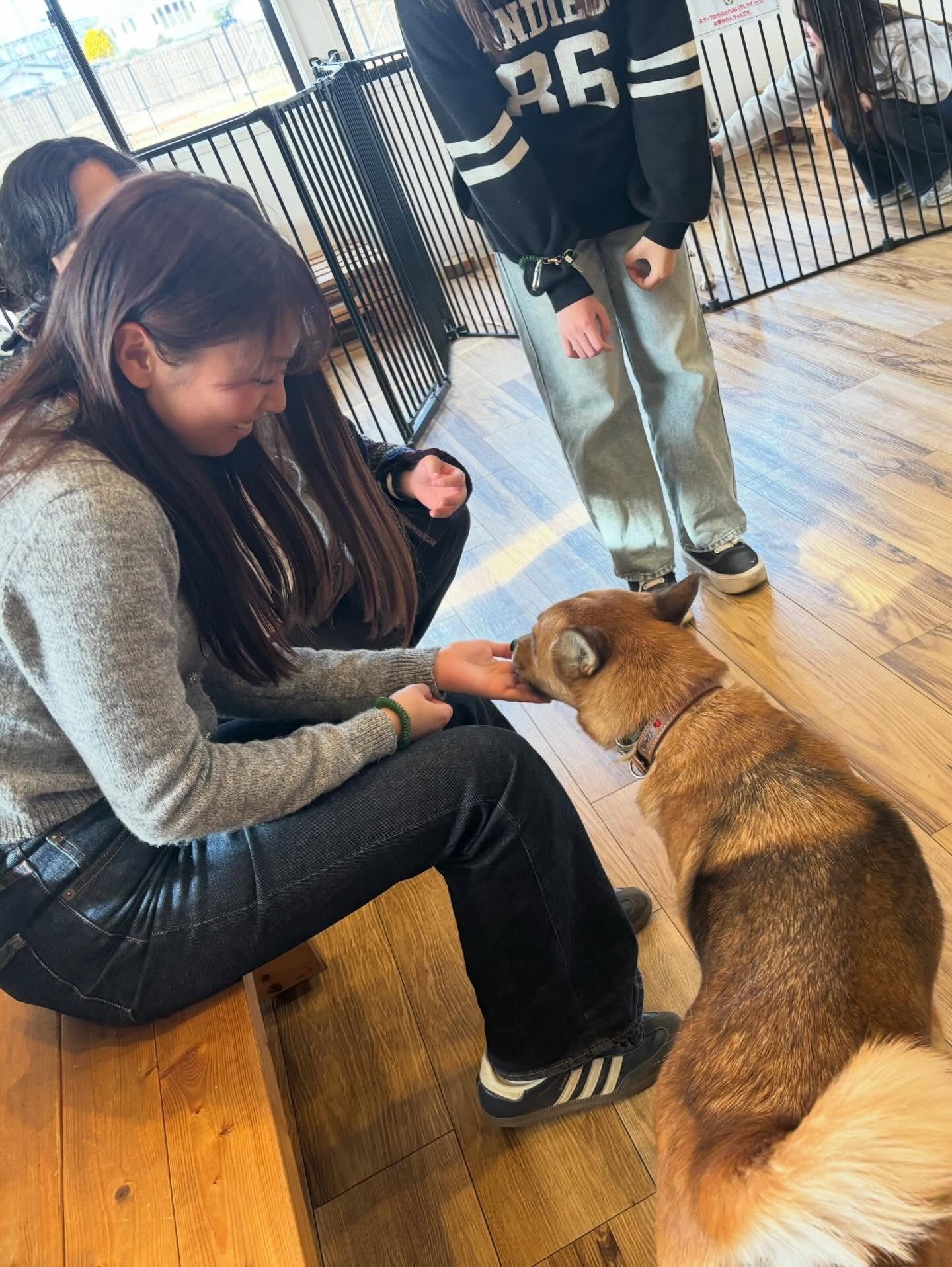 b820983c0949a16cbdf39c48c1a35bdb-1774935221.jpg b820983c0949a16cbdf39c48c1a35bdb-1774935221.jpg