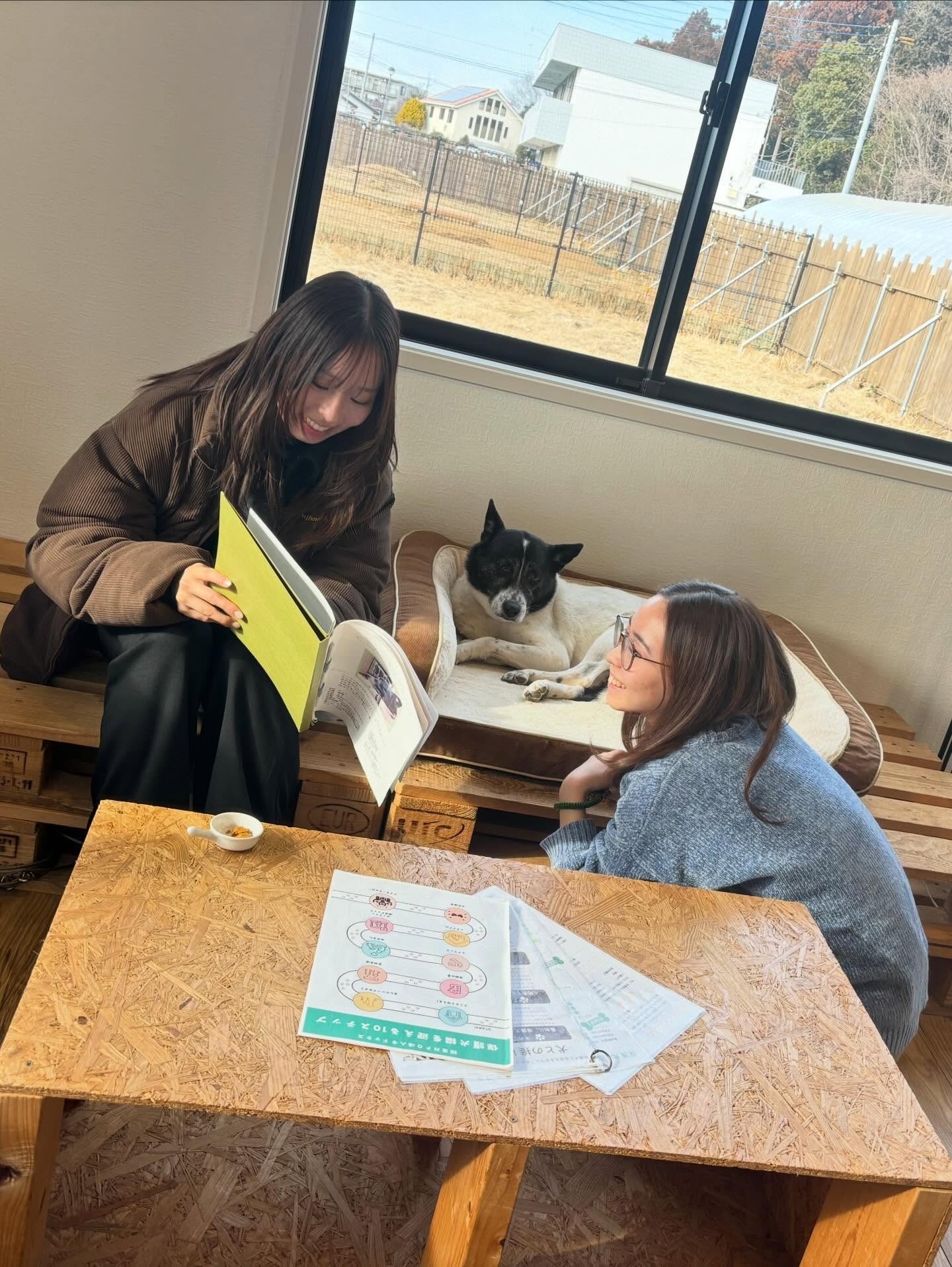 2ff2749200ec71bbaec727509631dbcf-1774935231.jpg 2ff2749200ec71bbaec727509631dbcf-1774935231.jpg