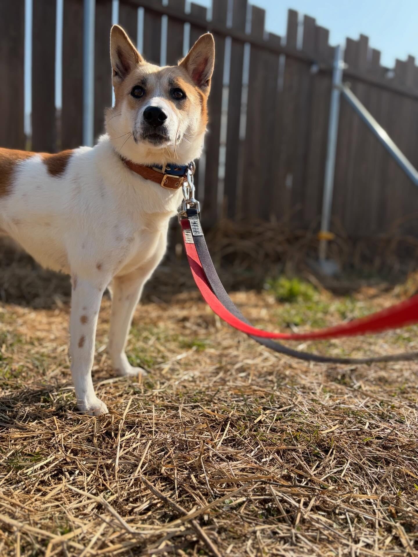 6b2bb942b3284a5e971aa8b1bef7db75-1774935814.jpg 6b2bb942b3284a5e971aa8b1bef7db75-1774935814.jpg