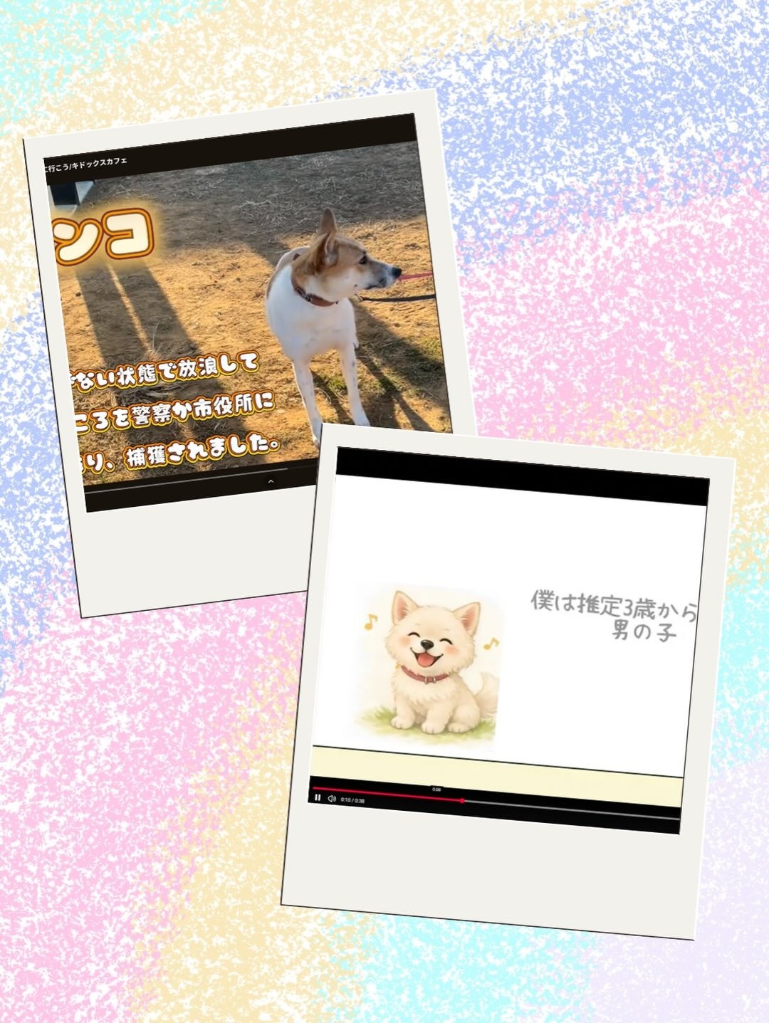 2613b3f502afb86ce2f10618eccae225-1774935822.jpg 2613b3f502afb86ce2f10618eccae225-1774935822.jpg