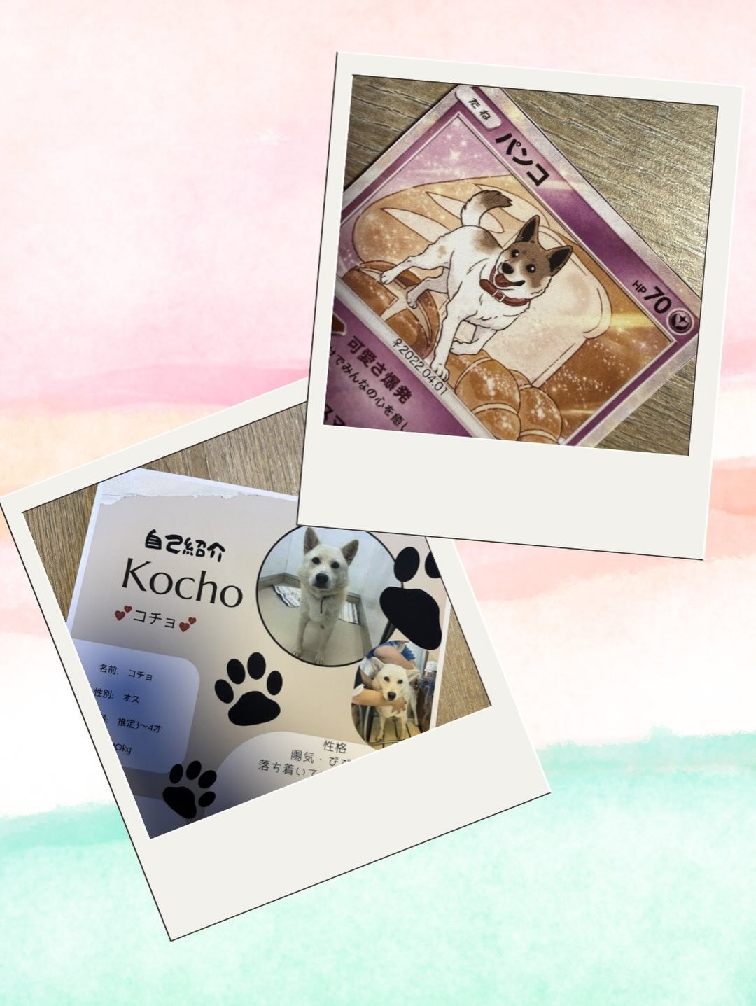 e1ac6358d7775b8caade8f88ccbf7bca-1774935827.jpg e1ac6358d7775b8caade8f88ccbf7bca-1774935827.jpg