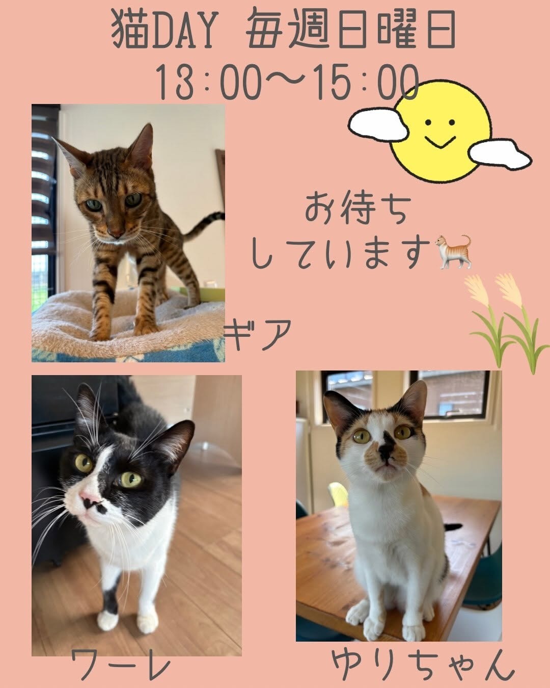 78987a9b157239857e8ed082ed9e7e78-1788072634.jpg 78987a9b157239857e8ed082ed9e7e78-1788072634.jpg