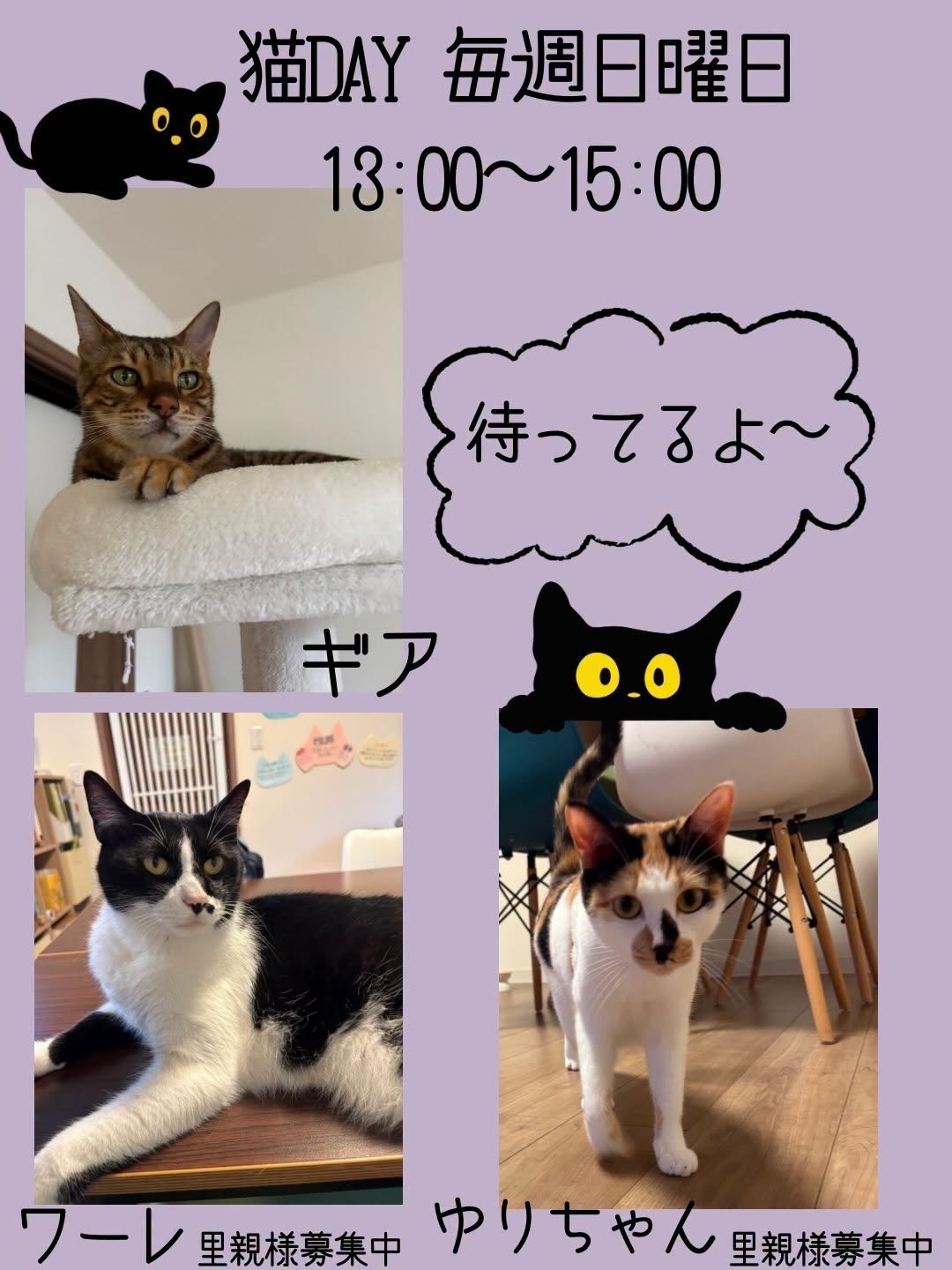 b49039d04477515833ebd57cf65f3e48-1790672072.jpg