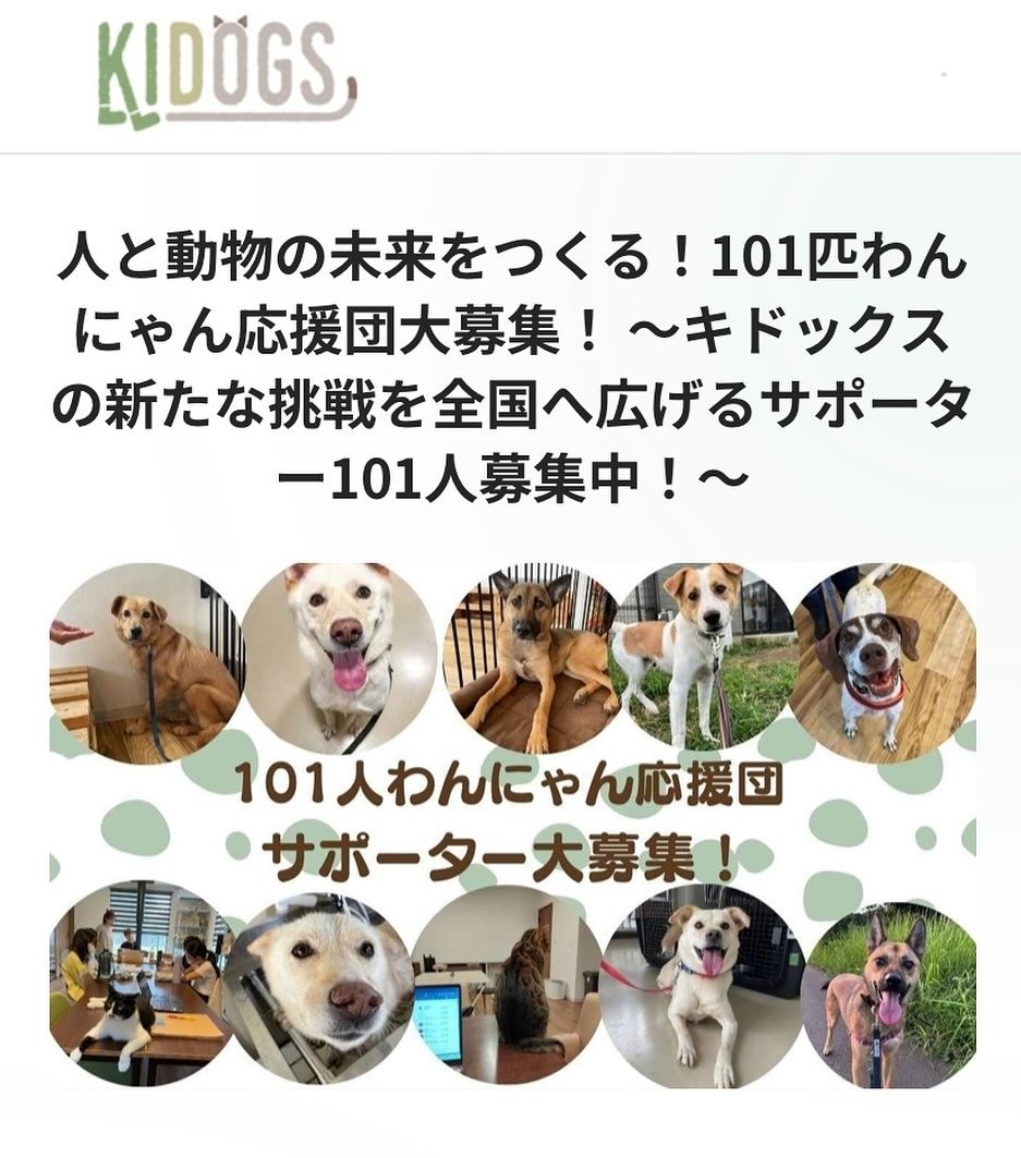 人と動物の未来をつくる✨101匹わんにゃん応援団大募集🐶🐱 ～キドックスの新たな挑戦を全国へ広げるサポーター募集中～