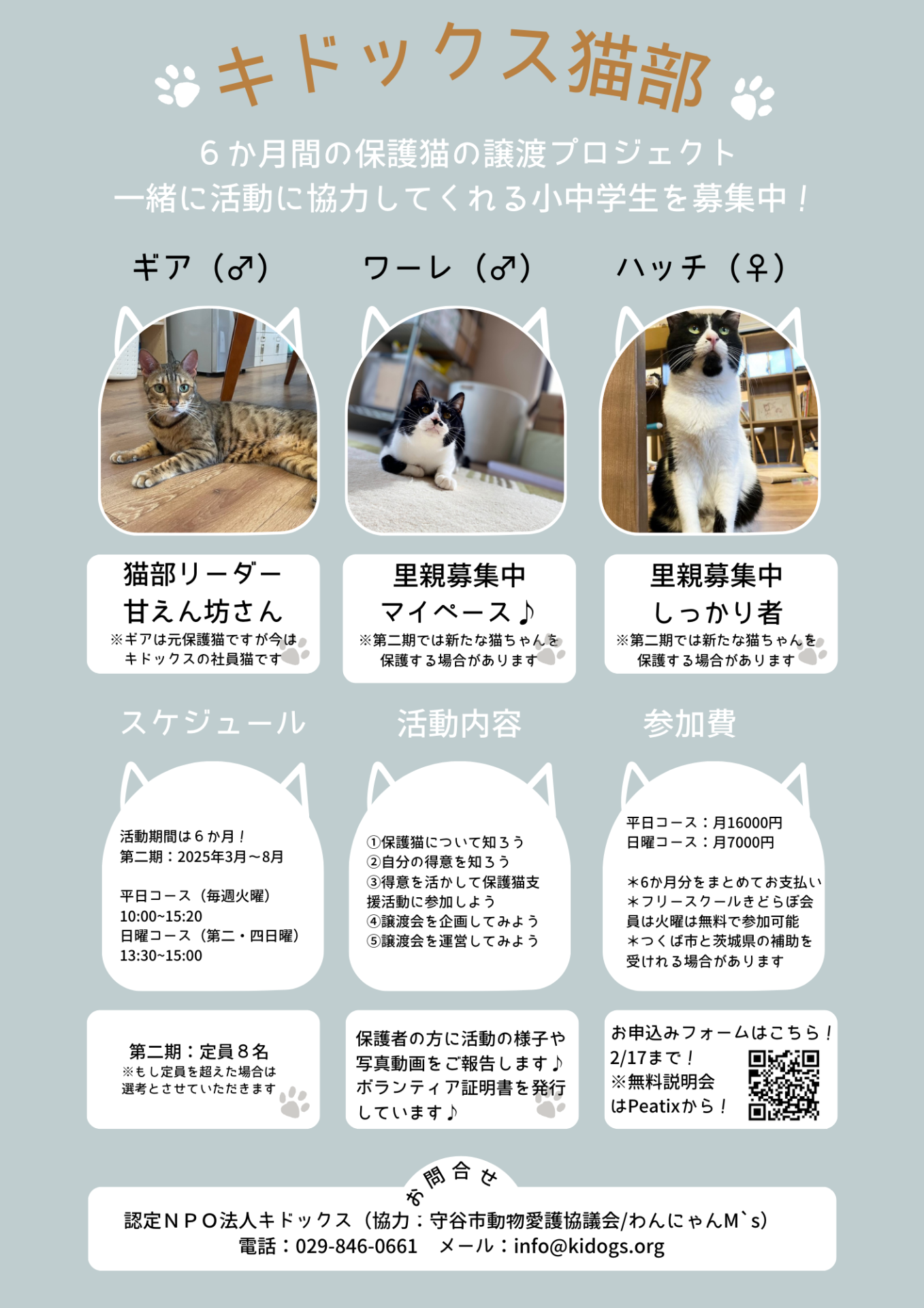 参加者募集!小中学生向け保護猫支援プログラム★キドックス猫部第二期★
