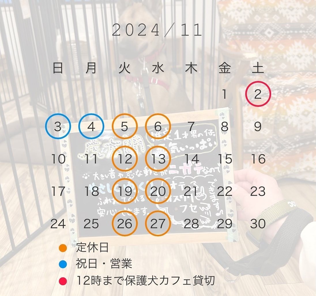 【カフェ営業】11月のキドックスカフェ営業予定のお知らせ の複製