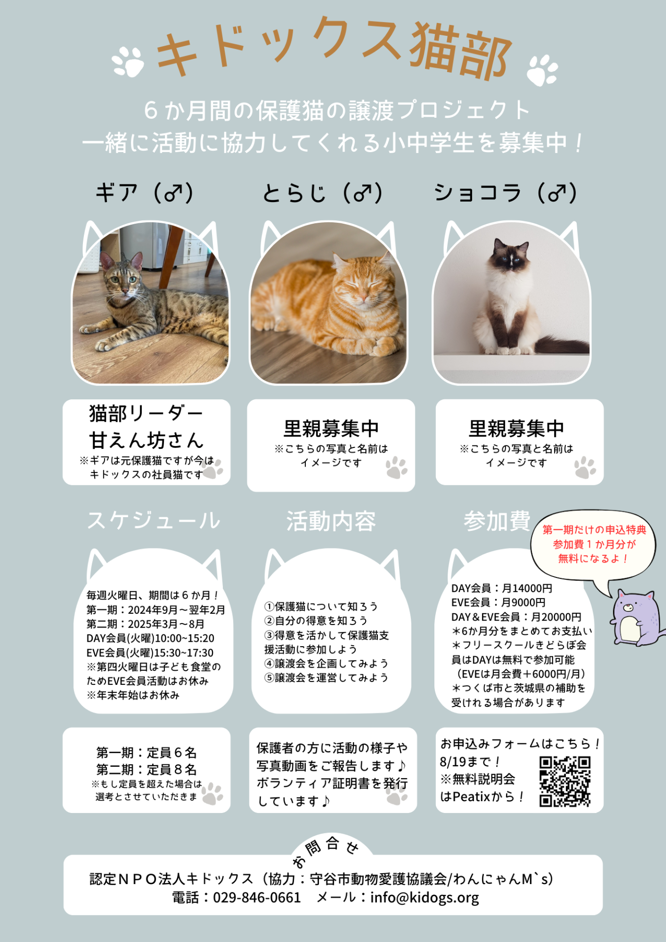 参加者募集中♪小中学生向け保護猫支援プログラム★キドックス猫部★2024年9月から開始!