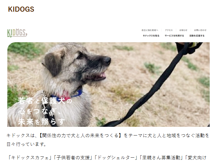 【メディア】「ナチュナルドッグフードのひろば」にキドックスが掲載されました