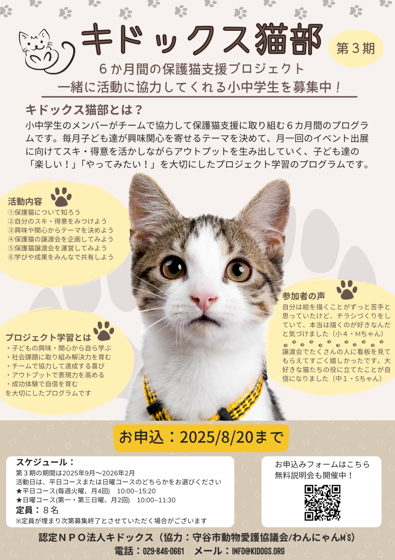 【無料説明会開催】小中学生向けプロジェクト学習★保護猫支援プログラム「キドックス猫部」