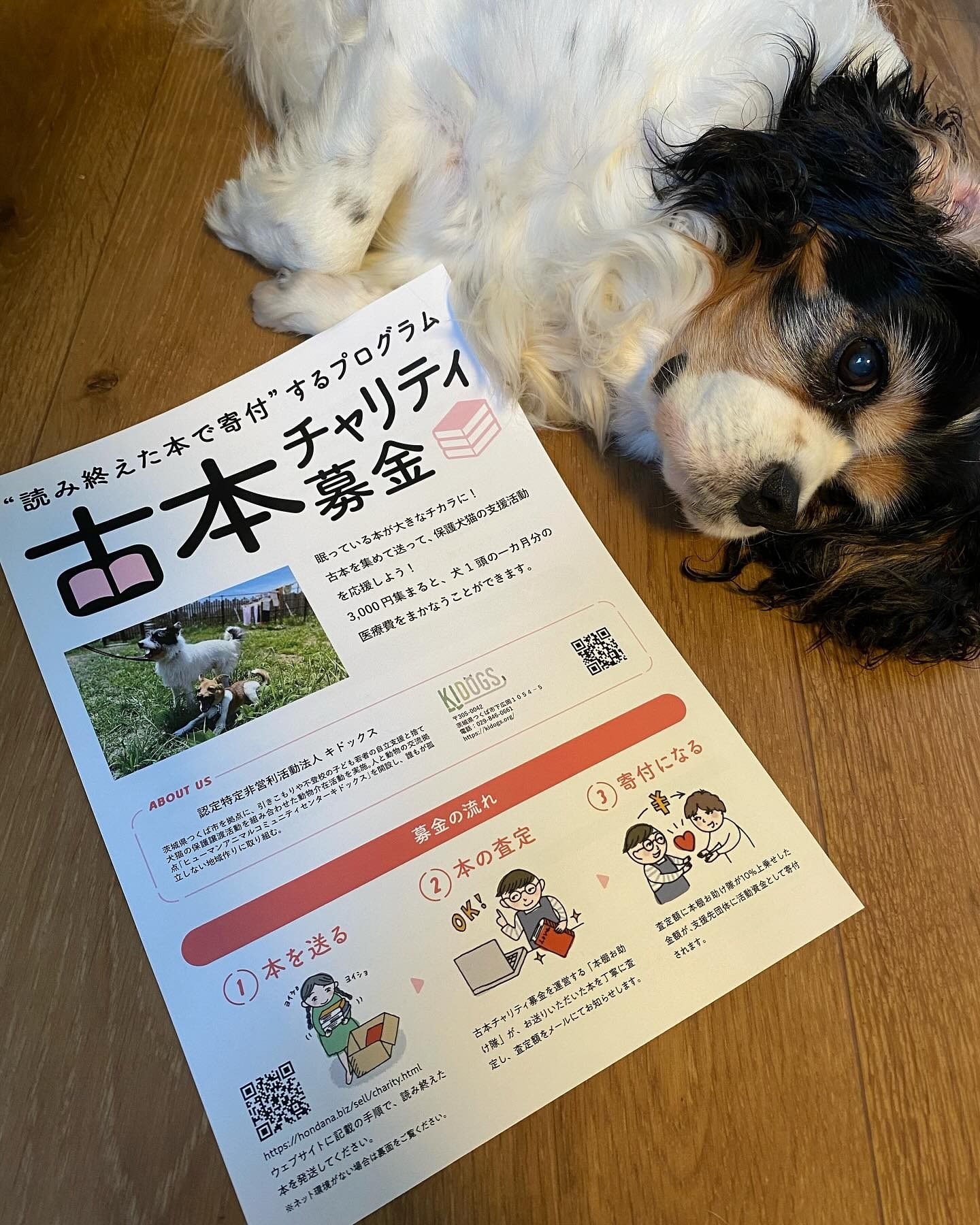 読み終えた本やDVDで、キドックスへ古本チャリティ募金してみませんか