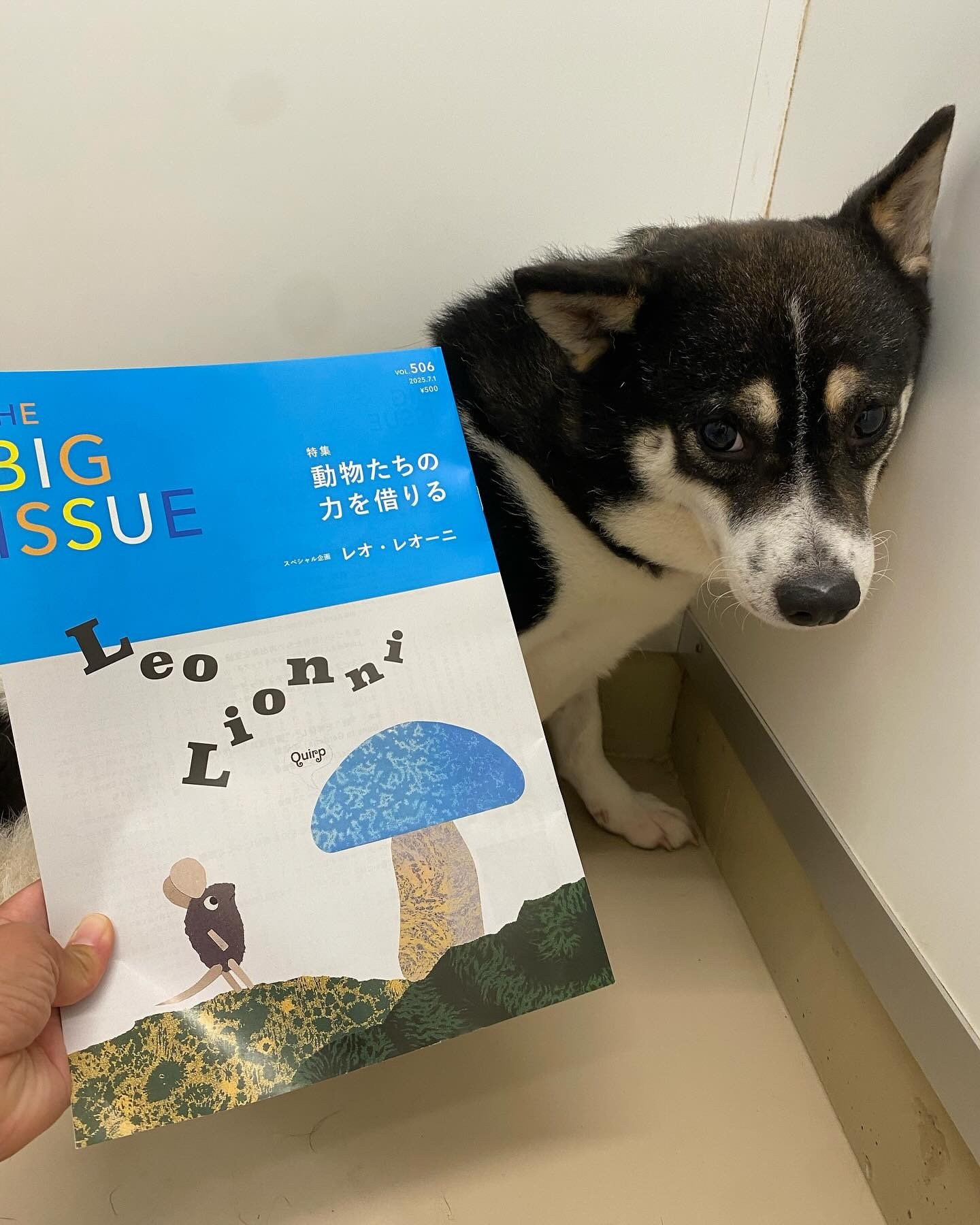 【メディア】ビッグイシュー日本版vol506に記事が掲載されました