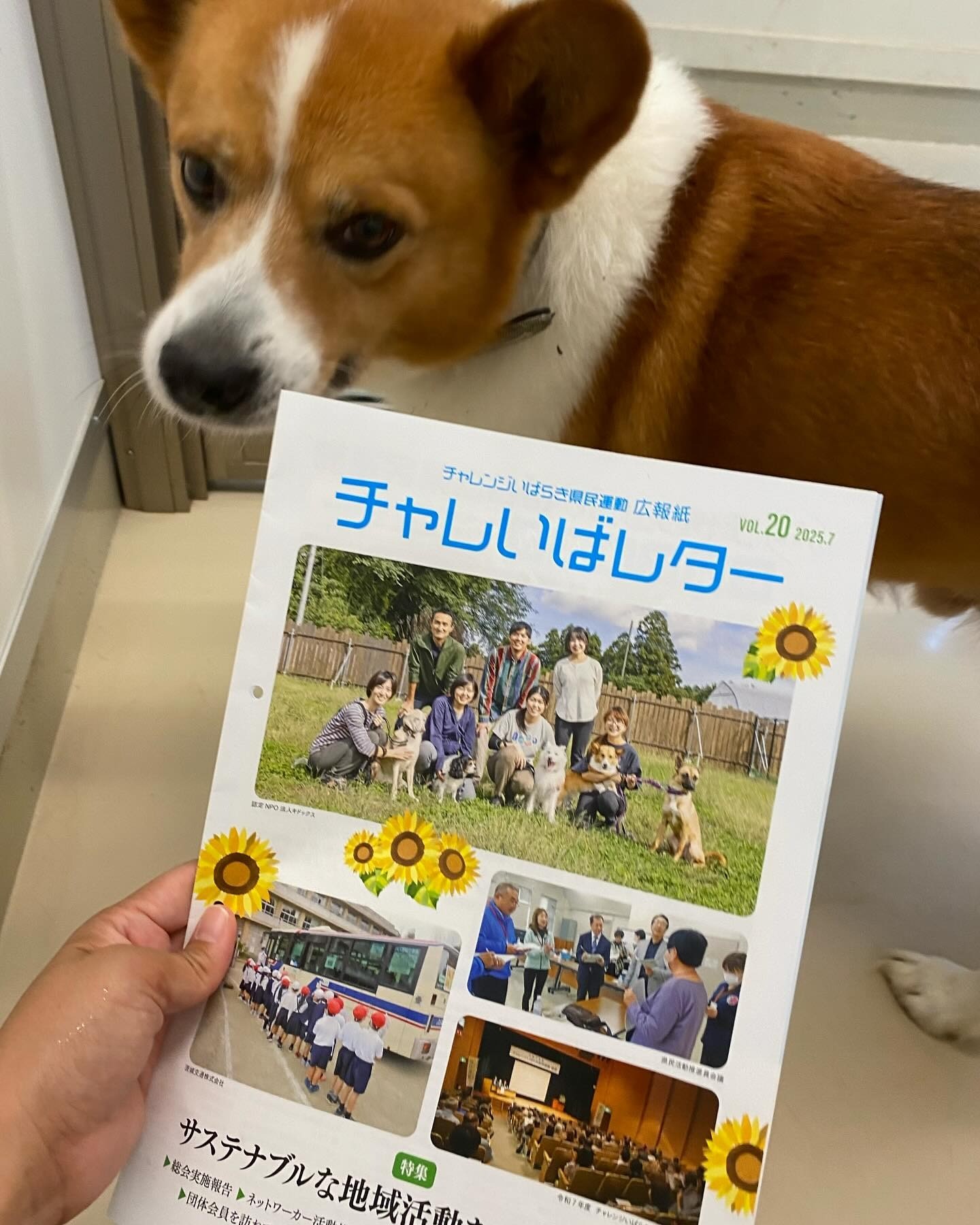 【メディア】チャレいばレターvol20に記事が掲載されました