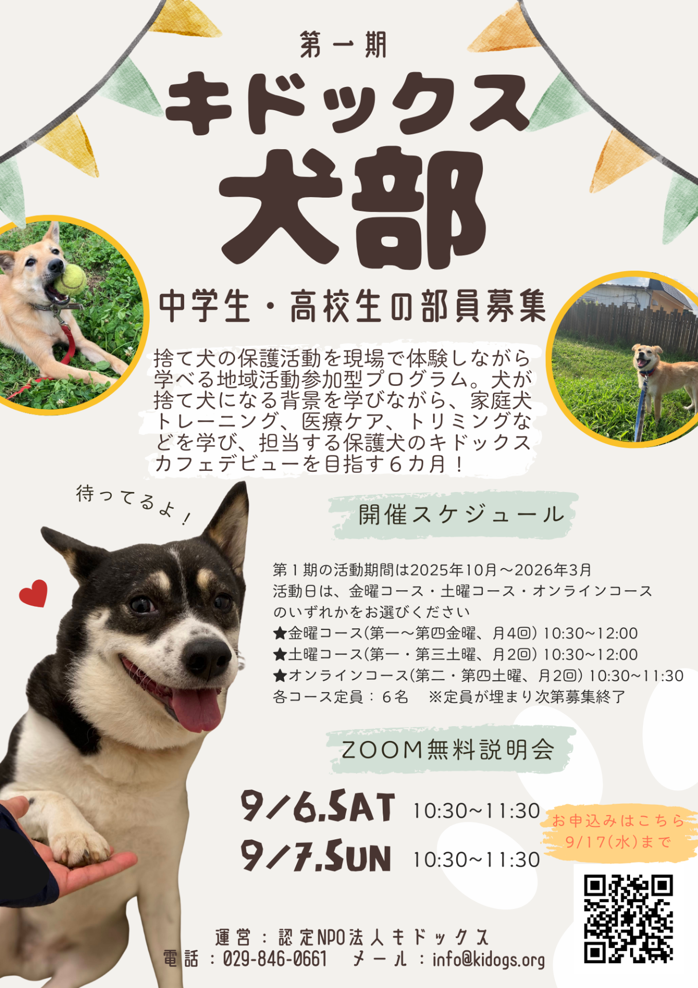 【無料説明会開催】中高生向けの保護犬支援プログラム「キドックス犬部」