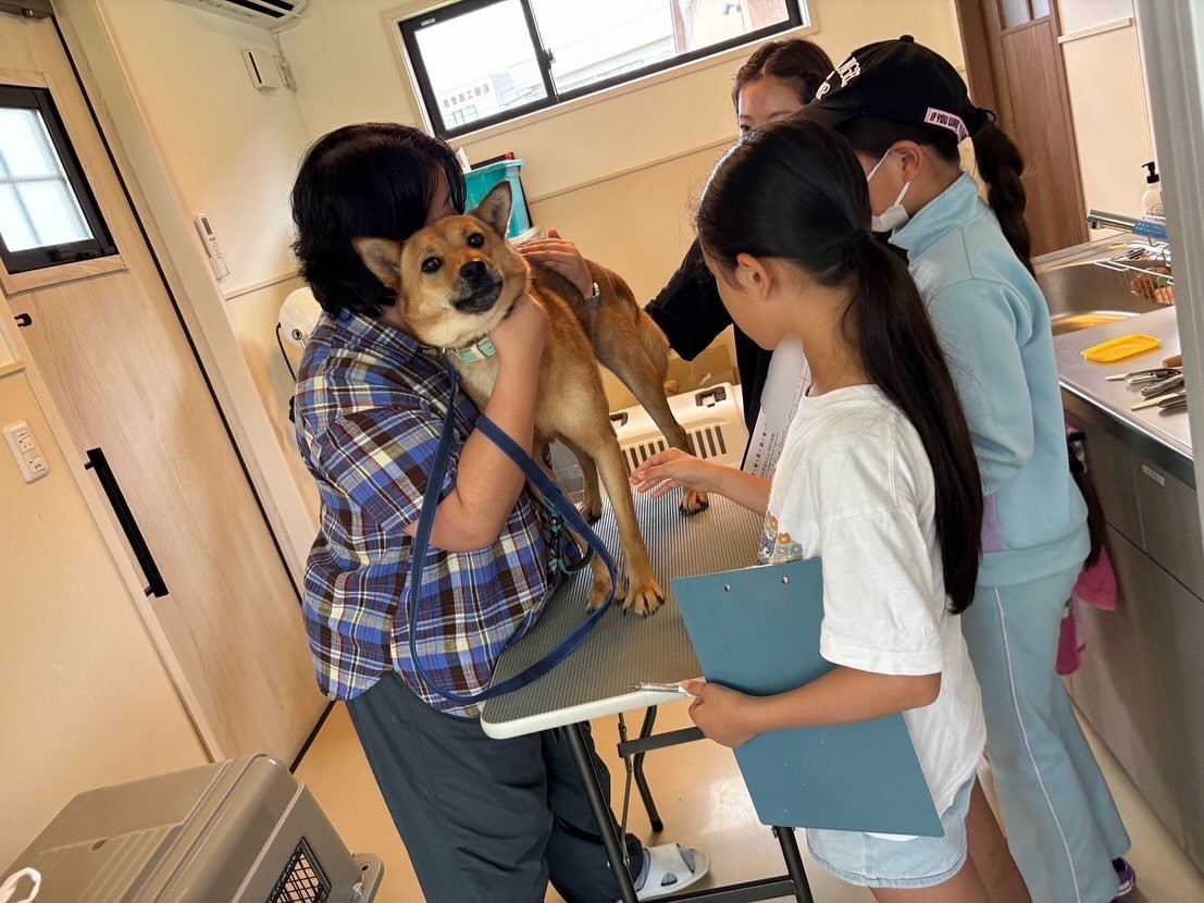7月のどうぶつクラブの開催報告②