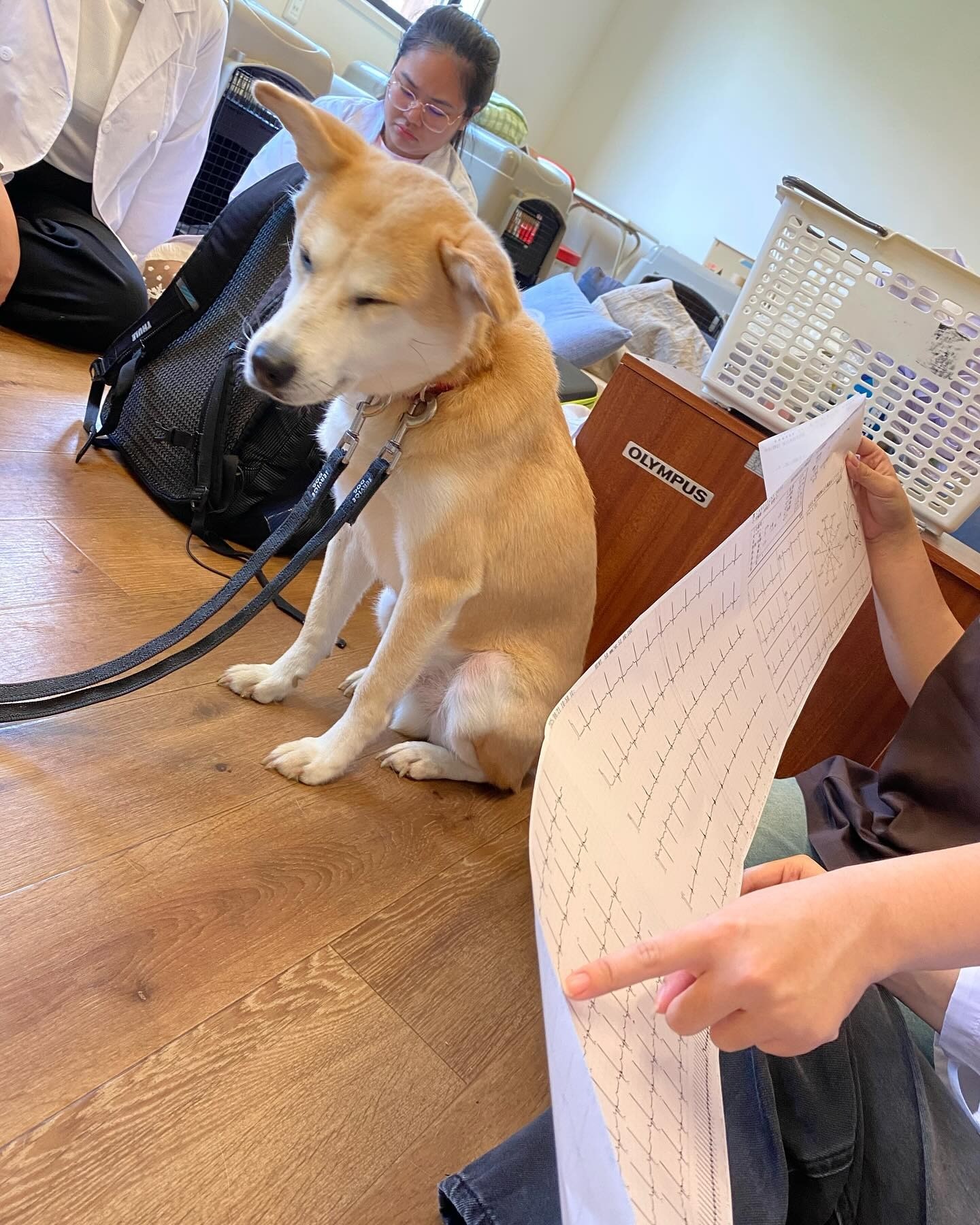 タイのカセサート大学の学生さんご来訪