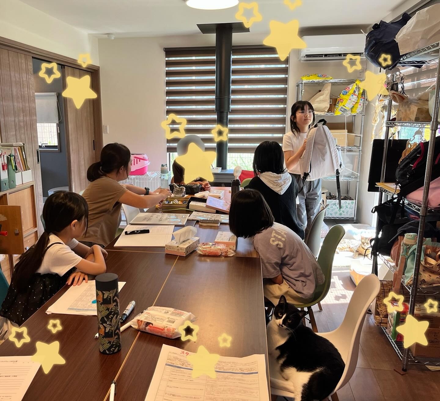 猫部第3期スタート！