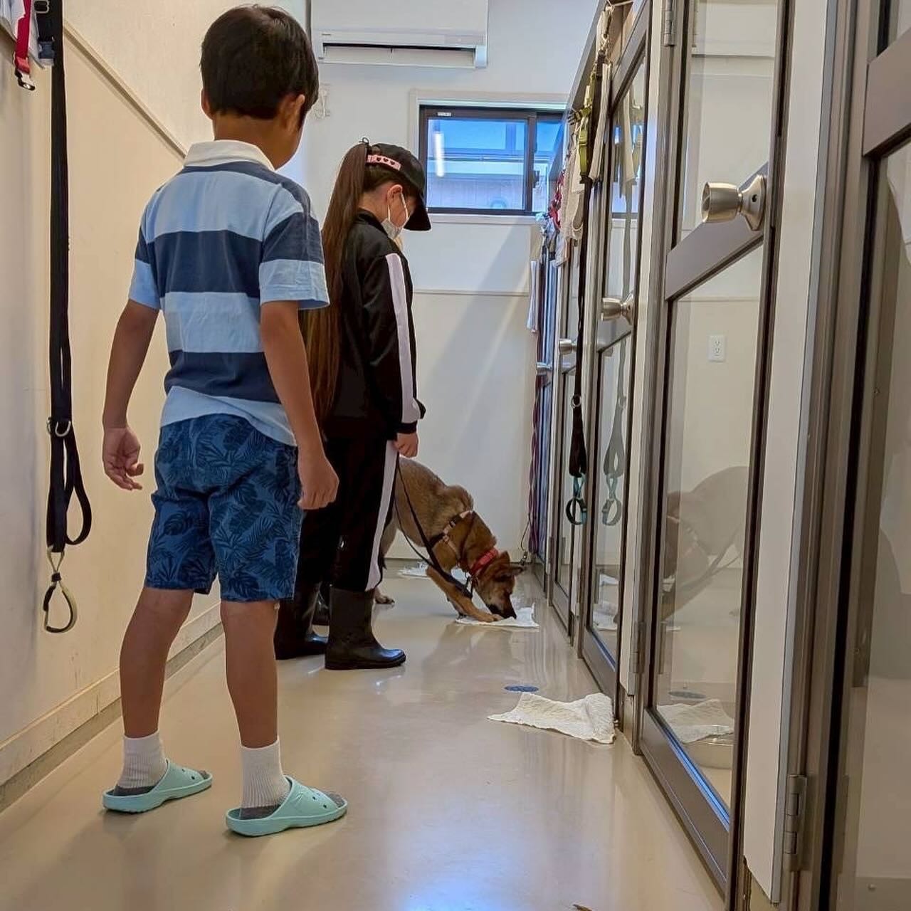 8月のどうぶつクラブ（知育トレーニング）の開催報告