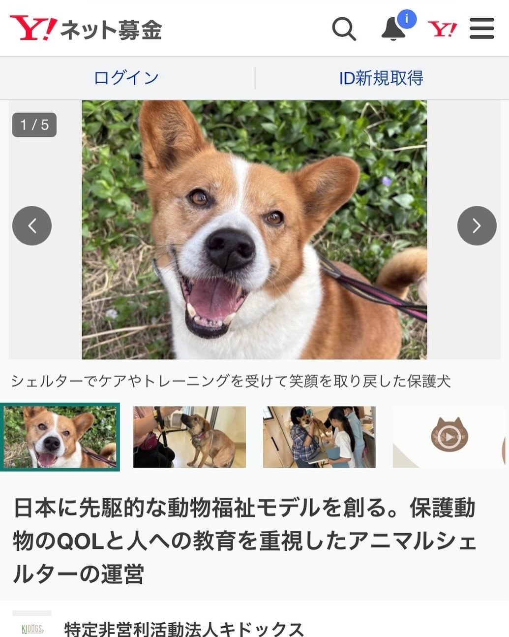 Yahoo!ネット募金に掲載されました