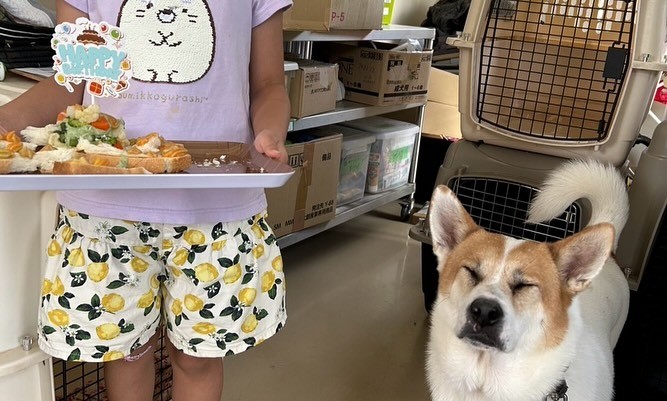 9月のどうぶつクラブ（パティシエ体験）の開催報告