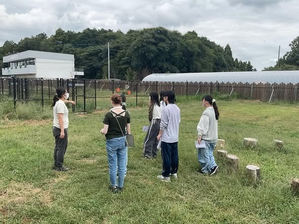 第一期 犬部の活動がスタート