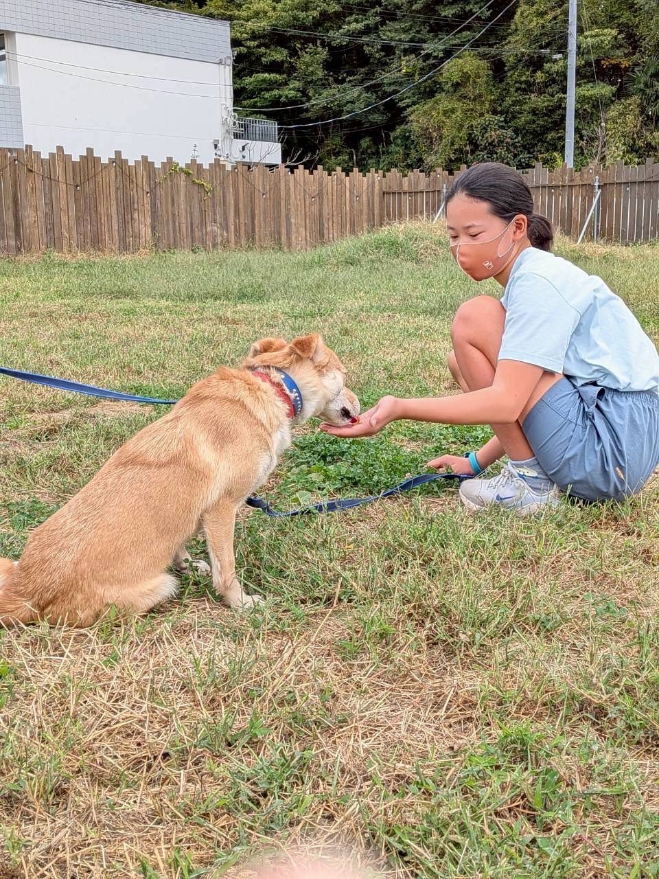 10月のどうぶつクラブ（トレーニング体験）の開催報告