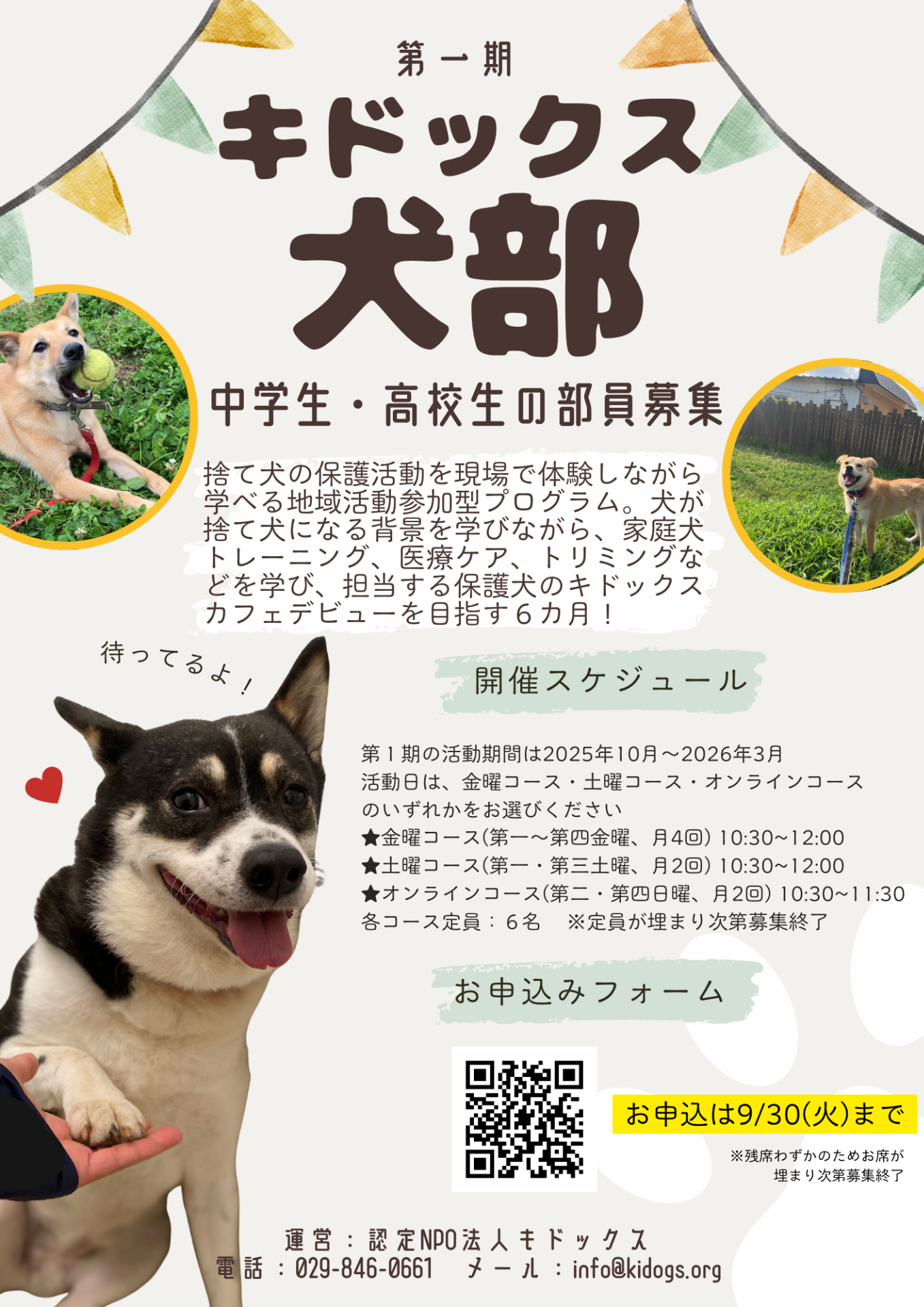 中高生向けの保護犬支援プログラム「キドックス犬部」