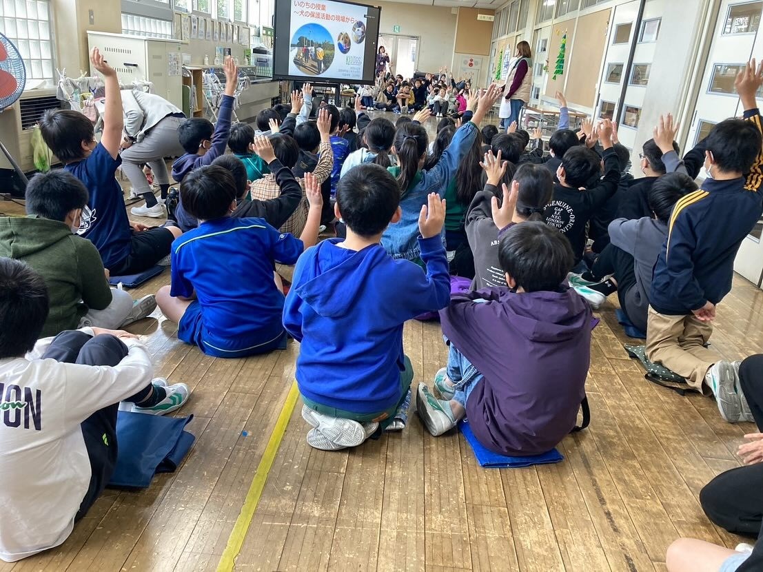 守谷市立松ヶ丘小学校にて「いのちの授業」