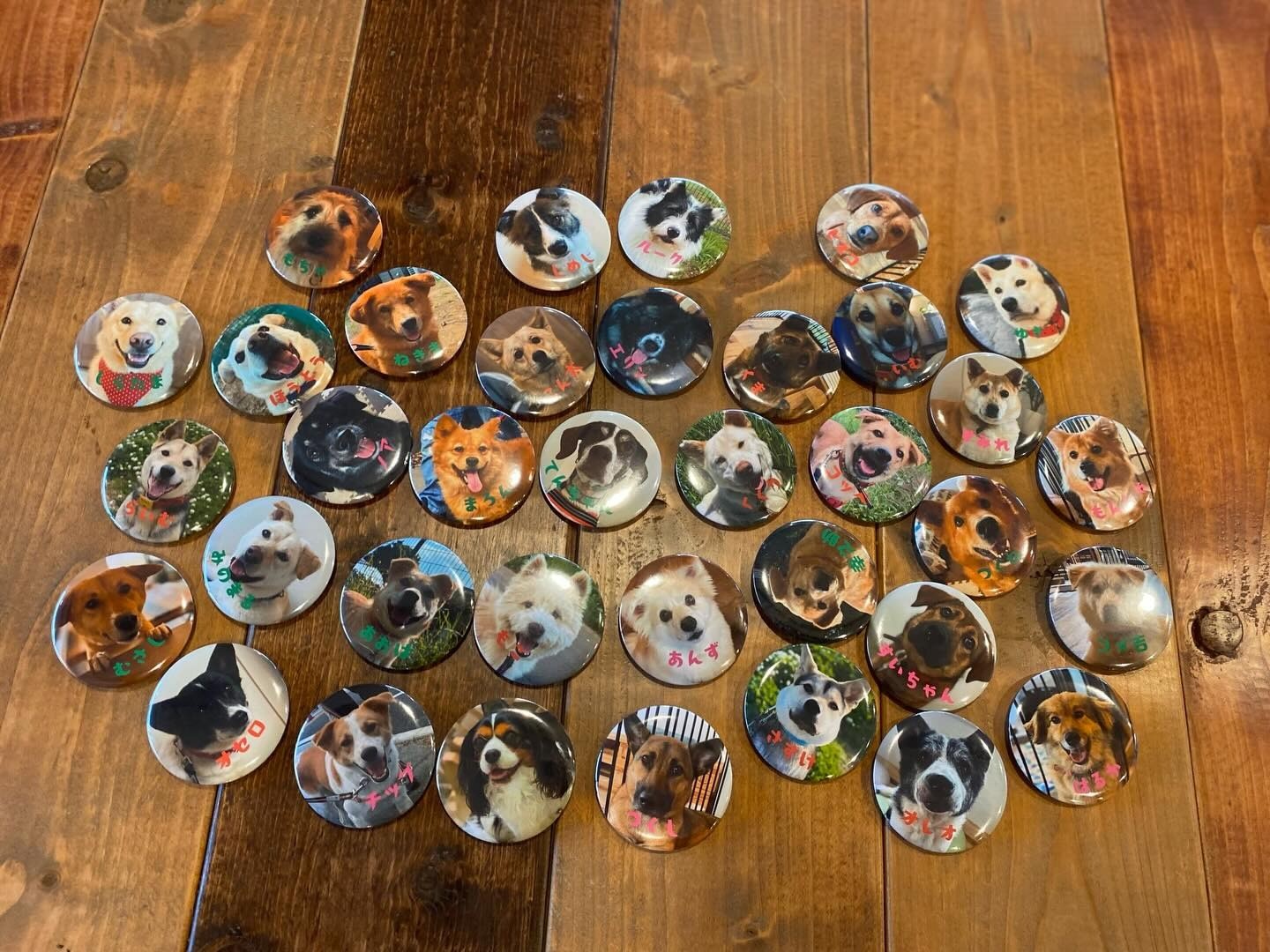 ホームカミングデー2025を開催しました