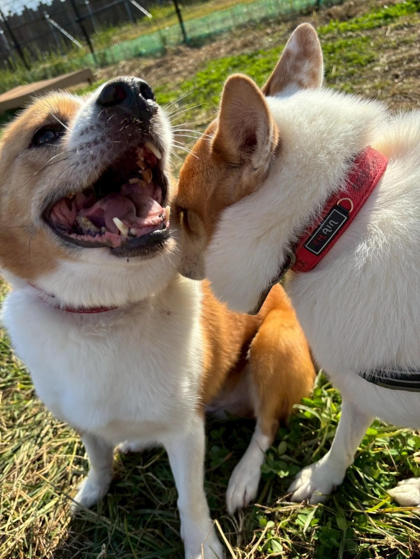 茨城県南ひきこもり支援フォーラムに参加しました