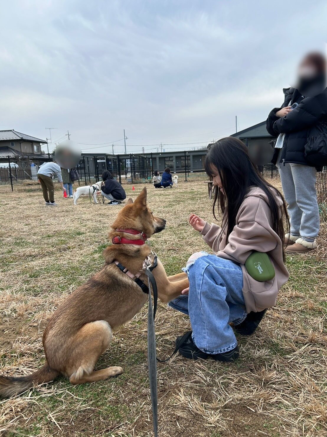 1月のどうぶつクラブの開催報告