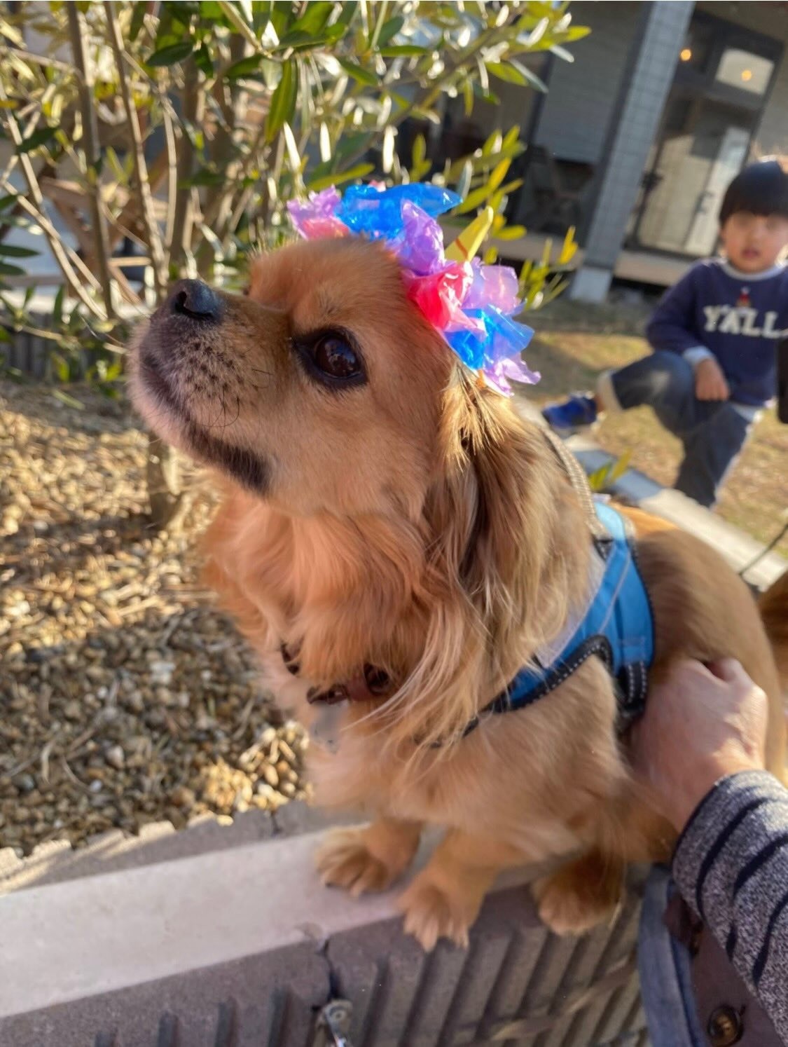 1月のあおぞら食堂 開催レポート