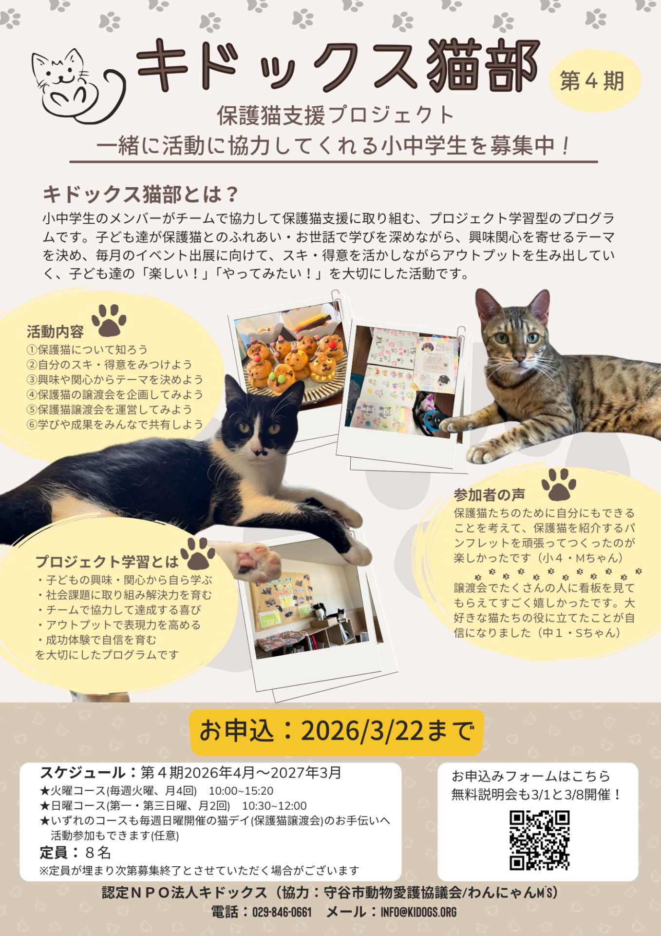 小中学生向けプロジェクト学習★保護猫支援プログラム「キドックス猫部」第４期