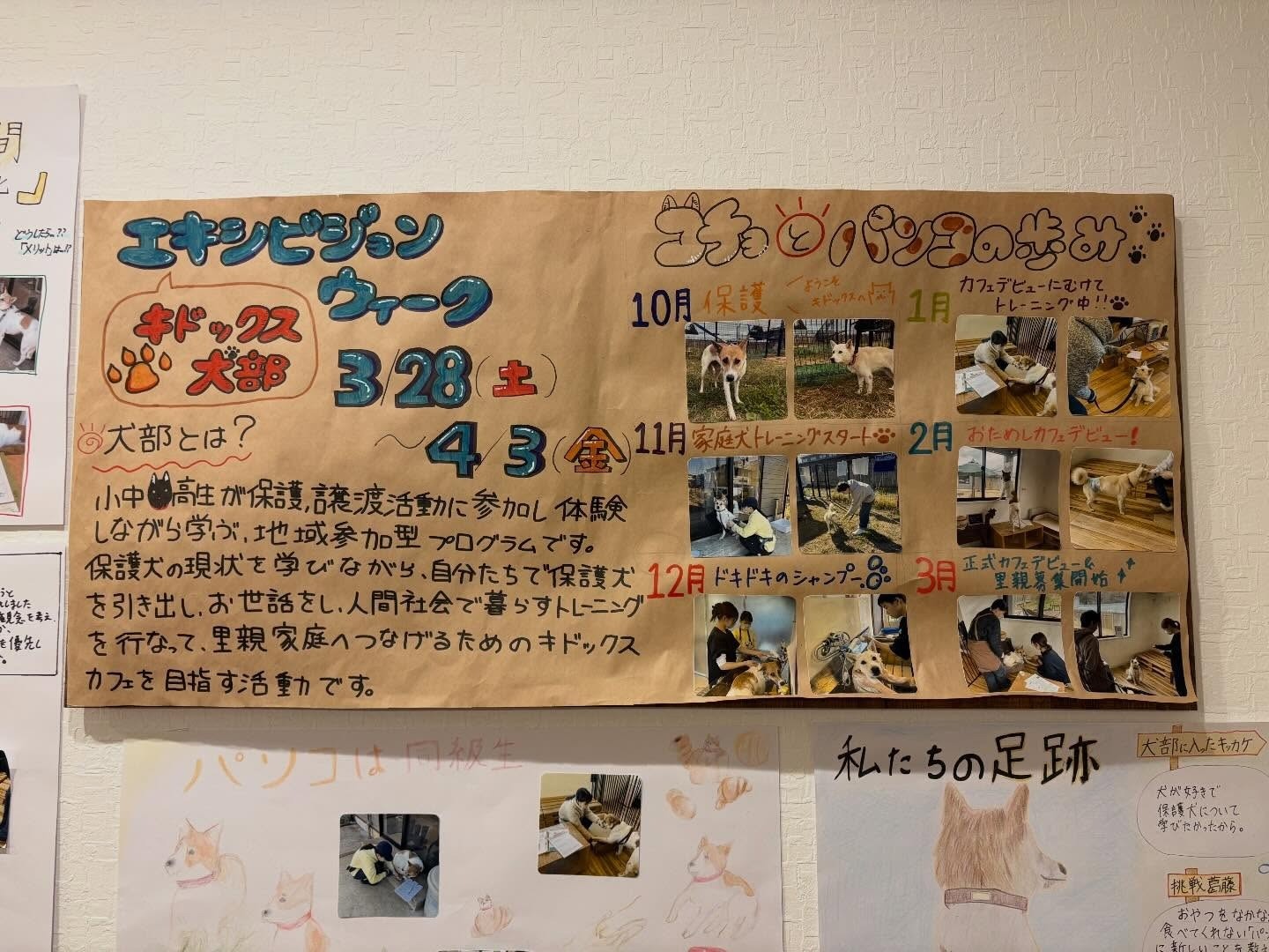 キドックス犬部、第一期フィナーレ