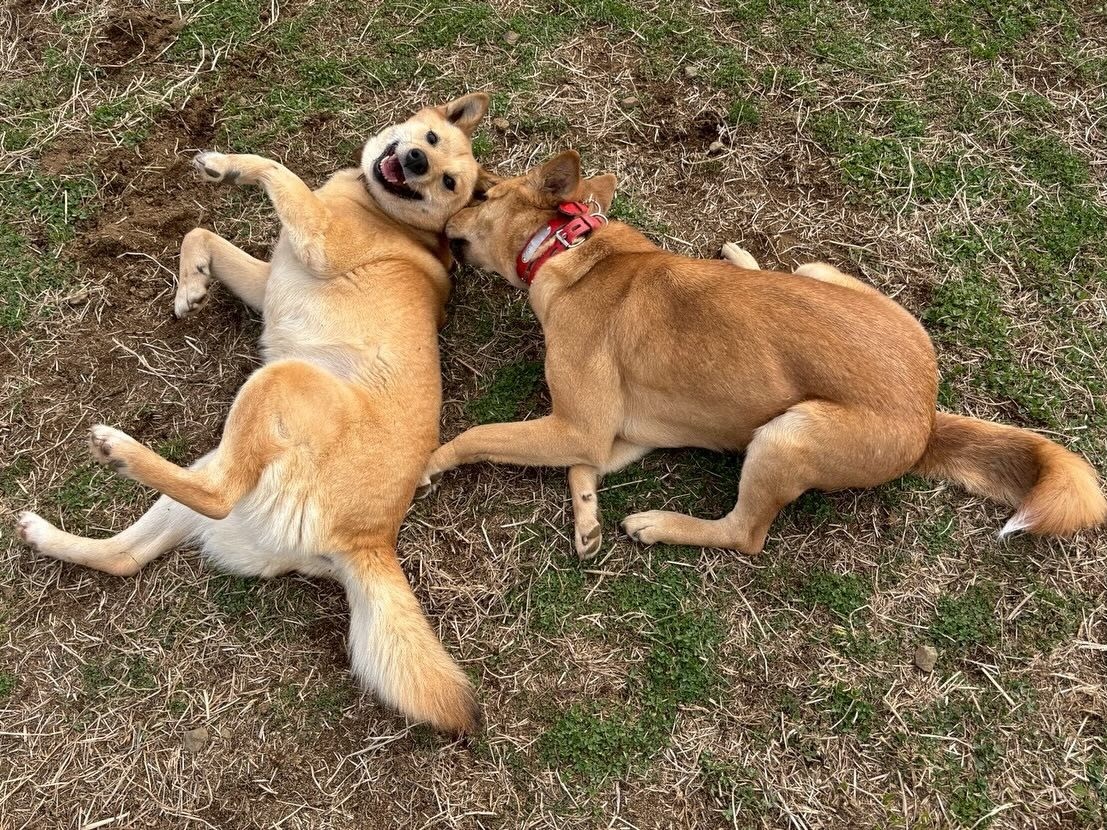 代表からの2025年度を振り返ってのご挨拶