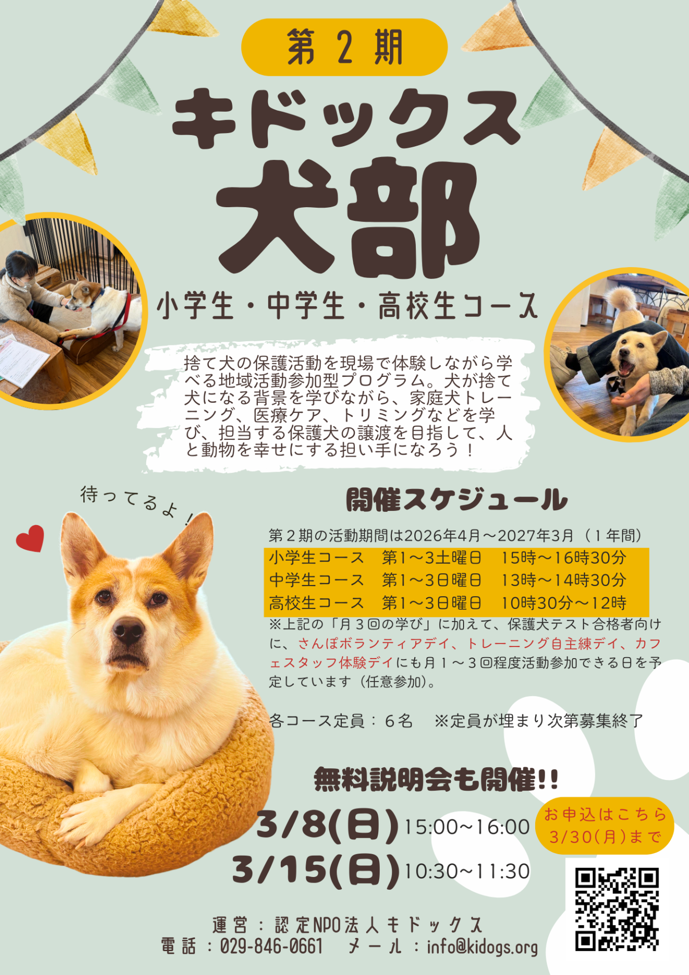 小中高生向けの保護犬支援プログラム「キドックス犬部」
